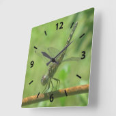 Dragonfly Wall Clock Quadratische Wanduhr (Winkel)