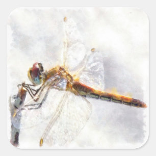 Dragonfly Watercolor Pastellweiß Hintergrund Quadratischer Aufkleber