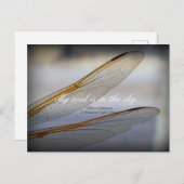 Dragonfly Wings Macro mit Shakespeare Zitat Postkarte (Vorne/Hinten)