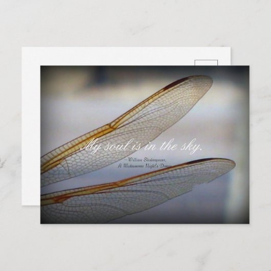 Dragonfly Wings Macro mit Shakespeare Zitat Postkarte (Vorne/Hinten)