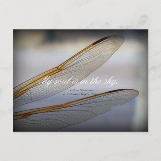 Dragonfly Wings Macro mit Shakespeare Zitat Postkarte (Vorderseite)