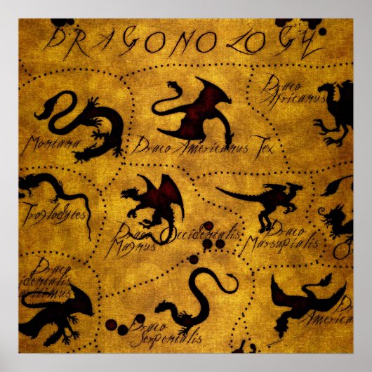 Dragonologie 1 poster (Vorne)