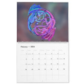 Dragons Monster Reptile Biest Tier Dra Kalender (Feb 2026)