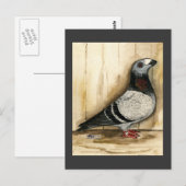 Dragoon Pigeon Blue Grizzle Postkarte (Vorne/Hinten)