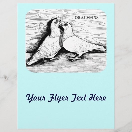 Dragoon Tauben Weißes Paar Flyer (Vorne)