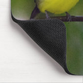 Draht-angebundene Manakin Mausunterlage Mousepad (Ecke)