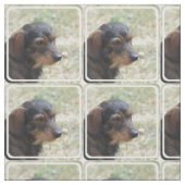 Draht behaarter Daschund Hund Stoff (Muster)