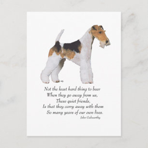 Draht-Fox-Terrier Regenbogenbrücke Postkarte