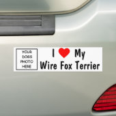 Draht-Foxterrier Autoaufkleber (Auf Auto)