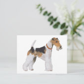 Draht-Foxterrier Postkarte (Stehend Vorderseite)