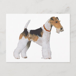 Draht-Foxterrier Postkarte