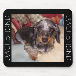Draht-Haar-Dackel-Mausunterlage Mousepad