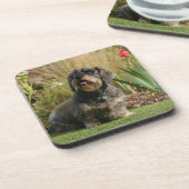 Draht-haarige StandardDackel Getränkeuntersetzer (Linke Seite)