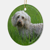 Draht-haarige StandardDackel im Gras Keramik Ornament (Links)