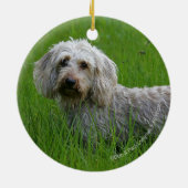 Draht-haarige StandardDackel im Gras Keramik Ornament (Hinten)