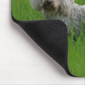 Draht-haarige StandardDackel im Gras Mousepad (Ecke)