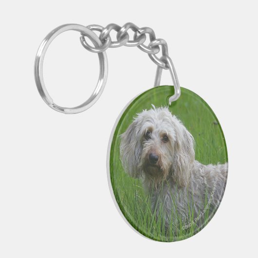 Draht-haarige StandardDackel im Gras Schlüsselanhänger (Vorderseite links)