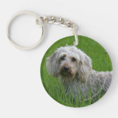 Draht-haarige StandardDackel im Gras Schlüsselanhänger (Vorderseite)