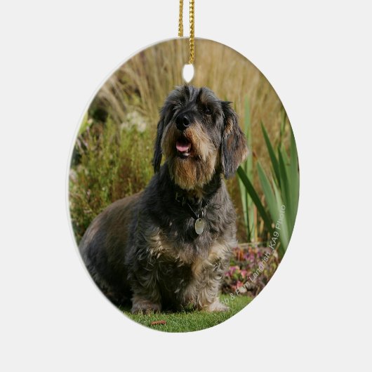 Draht-haarige StandardDackel Keramikornament (Rechts)