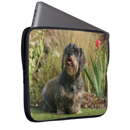 Draht-haarige StandardDackel Laptopschutzhülle (Vorne Rechts)