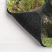 Draht-haarige StandardDackel Mousepad (Ecke)