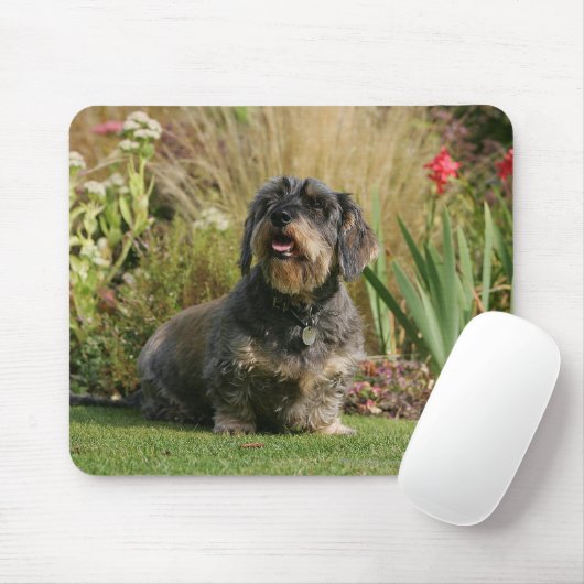 Draht-haarige StandardDackel Mousepad (Mit Mouse)