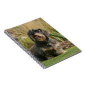 Draht-haarige StandardDackel Notizblock (Rechte Seite)