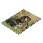 Draht-haarige StandardDackel Notizblock (Linke Seite)