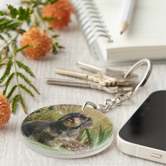 Draht-haarige StandardDackel Schlüsselanhänger (Vorderseite rechts)