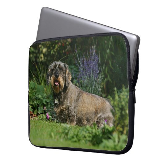 Draht-haariges StandardDackel-Sitzen Laptopschutzhülle (Vorderseite Links)