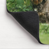 Draht-haariges StandardDackel-Sitzen Mousepad (Ecke)