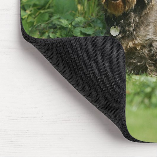 Draht-haariges StandardDackel-Sitzen Mousepad (Ecke)