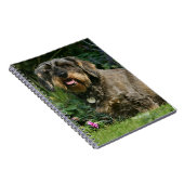 Draht-haariges StandardDackel-Sitzen Notizblock (Rechte Seite)