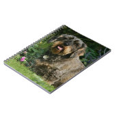 Draht-haariges StandardDackel-Sitzen Notizblock (Linke Seite)