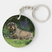 Draht-haariges StandardDackel-Sitzen Schlüsselanhänger (Rückseite)