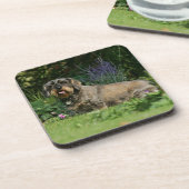 Draht-haariges StandardDackel-Sitzen Untersetzer (Linke Seite)