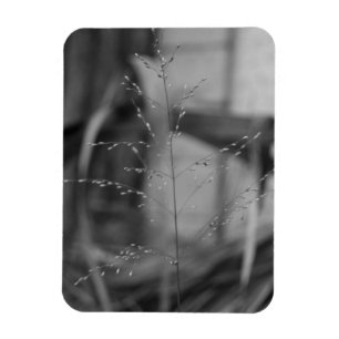 Draht-Schmiele Magnet