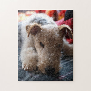 Drahtfänger Puzzle
