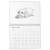 Drahthaar-Dachshund-Kalender 2027 Kalender (Jan 2027)