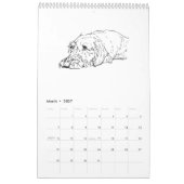 Drahthaar-Dachshund-Kalender 2027 Kalender (Mär 2027)