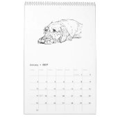 Drahthaar-Dachshund-Kalender 2027 Kalender (Jan 2027)