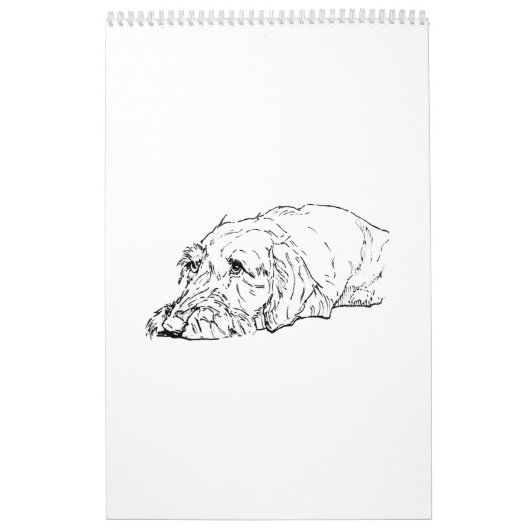 Drahthaar-Dachshund-Kalender 2027 Kalender (Titelbild)