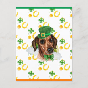 Drahthaar-Dachshund-Kleeblatt St. Patricks Day Feiertagspostkarte