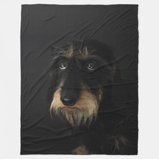 Drahthaar Dackel Fleecedecke (Vorderseite)