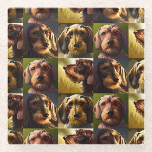 Drahthaar Dackel Glasuntersetzer (Vorderseite)