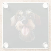 Drahthaar Dackel Glasuntersetzer (Rückseite)