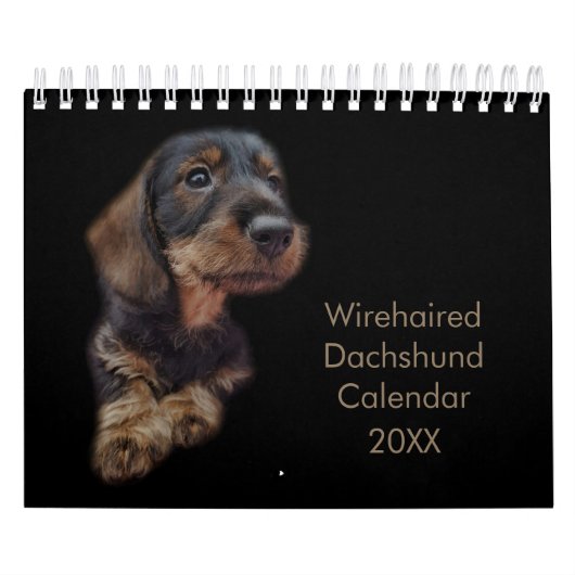 Drahthaar-Dackel Kalender (Titelbild)