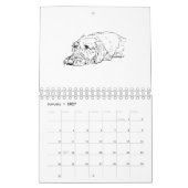 Drahthaar-Dackel-Kalender 2027 Kalender (Jan 2027)