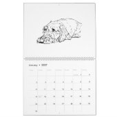 Drahthaar-Dackel-Kalender 2027 Kalender (Jan 2027)
