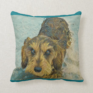 Drahthaar-Dackel Kissen